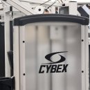 리얼 스트렝스 짐 이미지