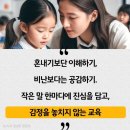 호계단태권도장 네이버블로그