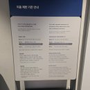 981 | 제주 981파크 후기 | 카트 타고 후회했다 (풀패키지 필수 이유)