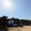 그늘막113 이미지