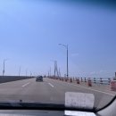 인천조류원 | 인천 앵무새 놀이터 :: 버드플라잉 인천점