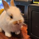 크레이쥬 이미지