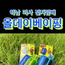 올데이베이핑