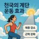 운동이끌림 이미지