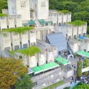 쓰담쓰담 그림책테라피 이미지