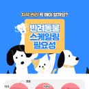 고려종합동물병원 이미지