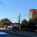 신산리-5 이미지