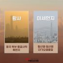 동탄이엠365의원 이미지