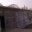 예지농장 이미지