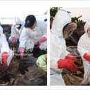 푸른바다유 이미지