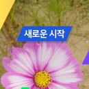 연세글로벌행정사사무소 이미지