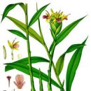 계해정한의원 이미지