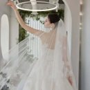 메리블랑 이미지