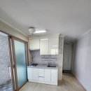 신대매안초 이미지