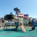 통새미
