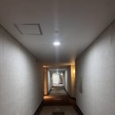 지에스25 춘천장학 | [9월 블챌#2] 춘천 가평 가족들끼리 오기 좋은 엘리시안 강촌 내돈내산 후기(사우나, 헬스장, 부대시설...