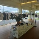 아일랜드프로젝트646미터퍼세크 이미지