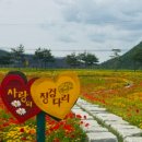 백일홍 민박집 이미지