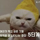 공감 이미지