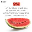 여우공간