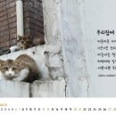 고양이 행복 쉼터 이미지