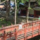 고운사 | 의성 여행지 추천 천년 이상의 역사를 지닌 [고운사] 석가탄신일에 다녀온 후기
