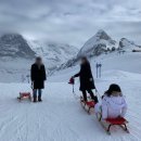 융프라우 이미지