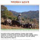 고원농산영농조합법인 이미지