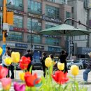 그늘막16 이미지