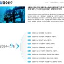 산업잠수사? 세월호 구조 현장에 왜 산업잠수사만 투입된거야? 이미지