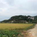 캐슬오션힐 이미지