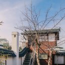 천변남로 | 고창 카페 추천 옛도심 조양관 감성 데이트 코스