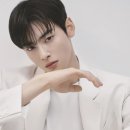 주식회사 넥스컴퍼니매니지먼트 | 군대 간 차은우 국세청 조사4국에 의해 200억 추징금? 강화도 장어집으로 고의 탈세? 세계 7위 규모라고?