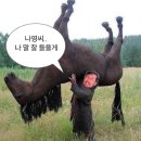 다행다복