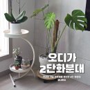 오디가컴퍼니 | 식집사 마음 저격! 우리집 거실 오브제 오디가 컴퍼니 디오가든 크림 모던 2단 화분대