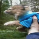 형제바이오 이미지