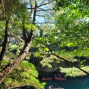 쇠소깍 공영 이미지