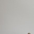 옛날 조선시대 방짜유기 놋쇠 주물 놋절구 희귀절구 명품 놋쇠절구 방찌절구 희귀골동품 골동품나라 판매물품 이미지