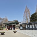 개단장 | 전북 전주 - 새 단장이 끝난 나들이 가기 좋은 3월의 전주동물원