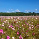테크노밸리길 이미지