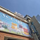 빵담아 | 부산 빵지순례 필수코스, 부산당 빵 한가득 담아온 후기