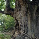 도당3리 이미지