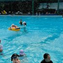 안중태권도장 이미지