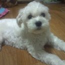 서울천동초등학교 이미지