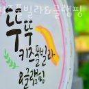 뚜뚜애견 | 가평글램핑 뚜뚜키즈풀빌라&amp;글램핑 애견동반