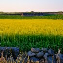 전원풍경 이미지