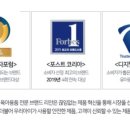 리안플러스