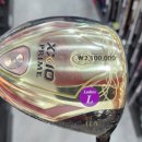 프라임 스크린 골프 이미지