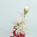 아쿠아플로스 이미지