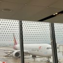 (주)우진씨푸드 | 7월 셋째 주 일상 포토 덤프 -4 (제주도 3박 4일)